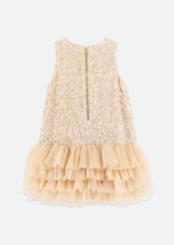 Charleston Sequin Dress Caramel 11 Charleston Sequin Dress Caramel -Angels-Face Shop Charleston Dress Caramel Back