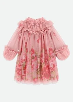 Nadiya Border Print Tulle Dress Tea Rose