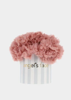 Pixie Tutu Skirt Tea Rose 9 Pixie Tutu Skirt Tea Rose -Angels-Face Shop Pixie Tutu Star Tea Rose Box Web